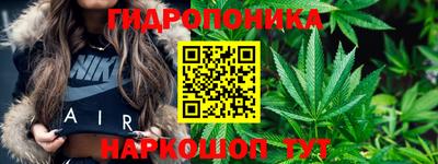 бошки Будённовск