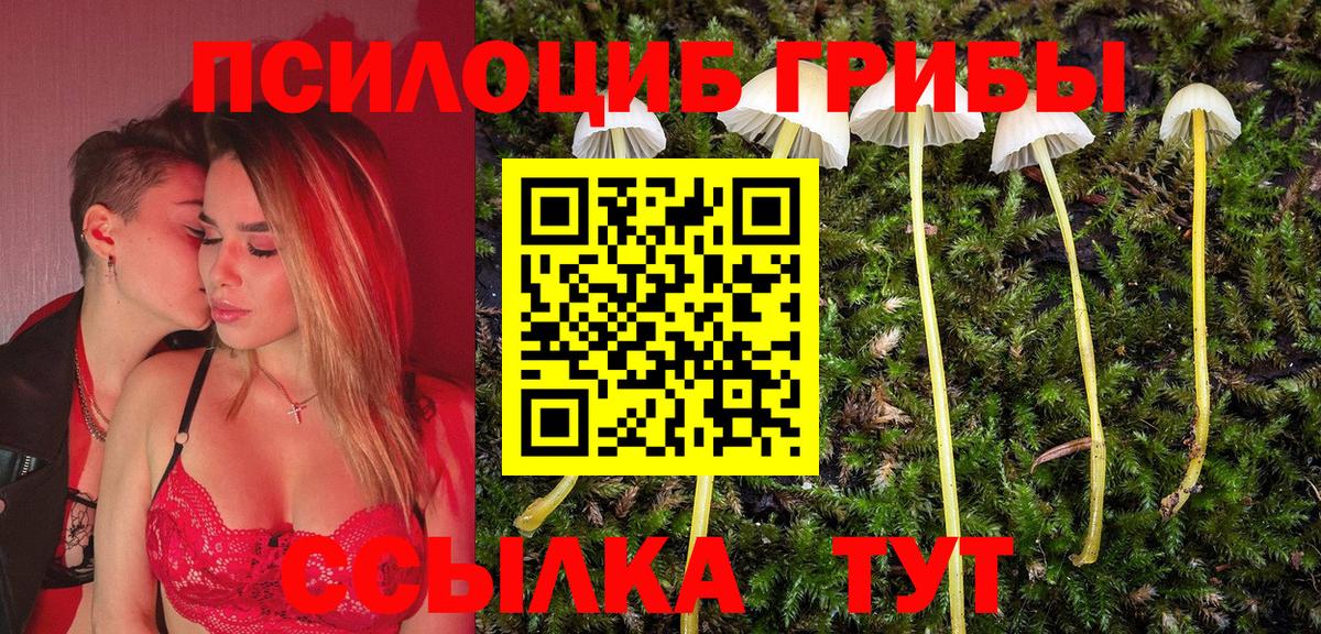 Южно-Сахалинск  Псилоцибиновые грибы ЛСД  Псилоцибиновые грибы мицелий  Вход с VPN 